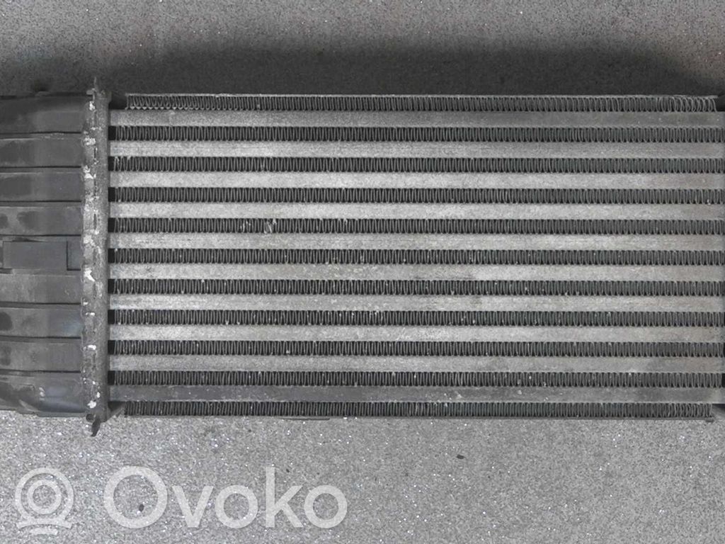 Peugeot 207 Interkūlerio radiatorius 