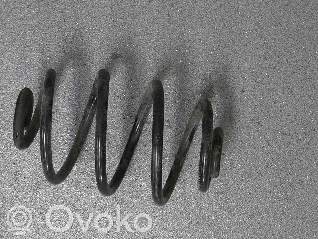 Rear coil spring