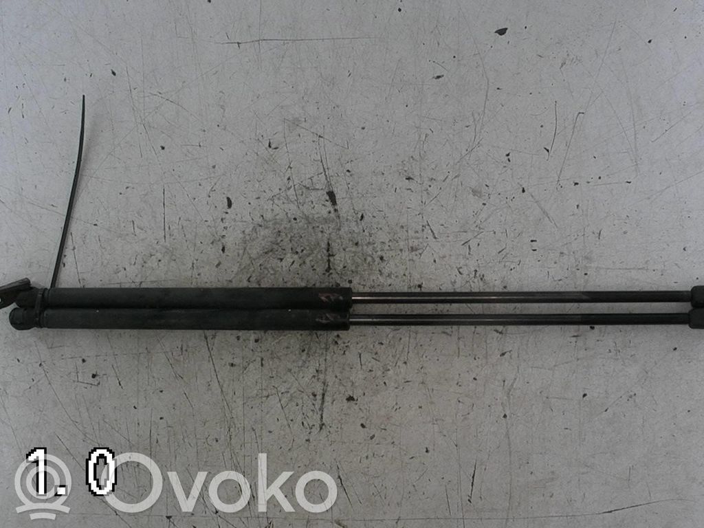 Tailgate/trunk strut/damper   2STK