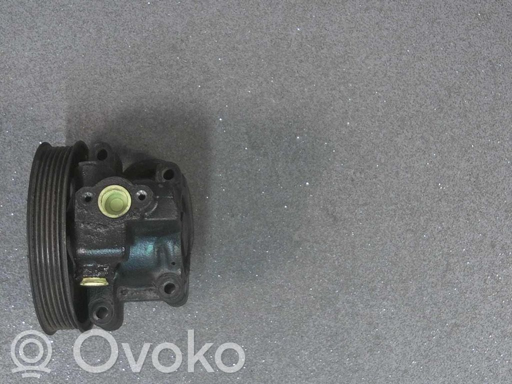 Servopumpe