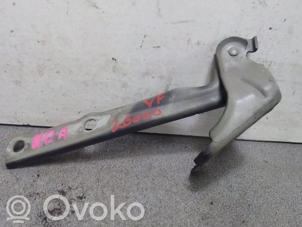 Volkswagen Tiguan Engine bonnet/hood hinges 