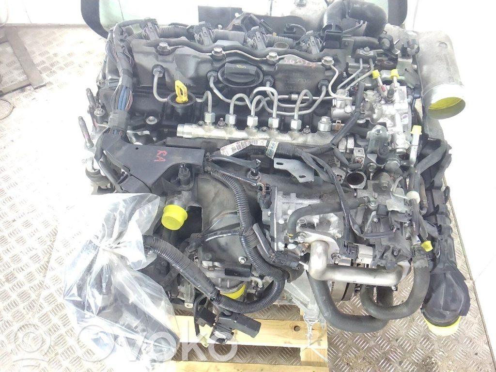 Variklis   SHY802300T