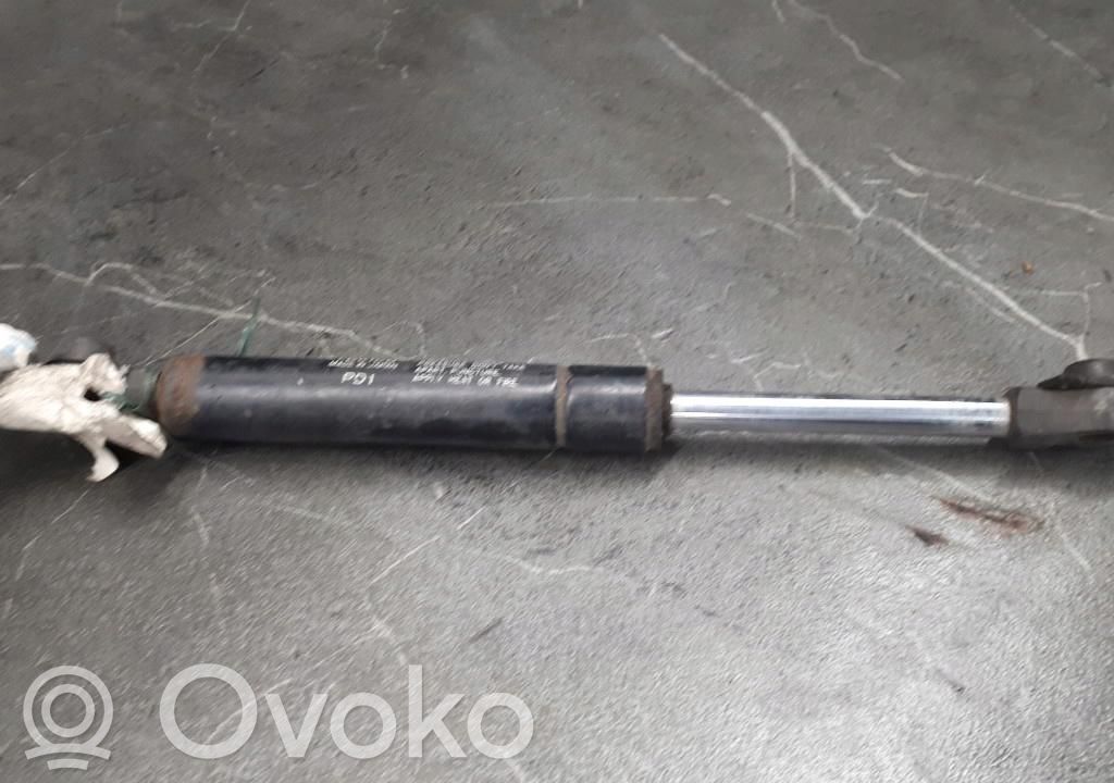 Tailgate strut   D06156940A