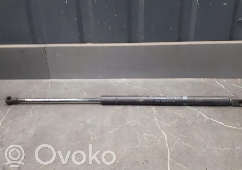 Tailgate strut   689600W170