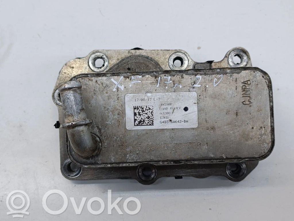 Jaguar XF X260 Dzinēja eļļas radiators 