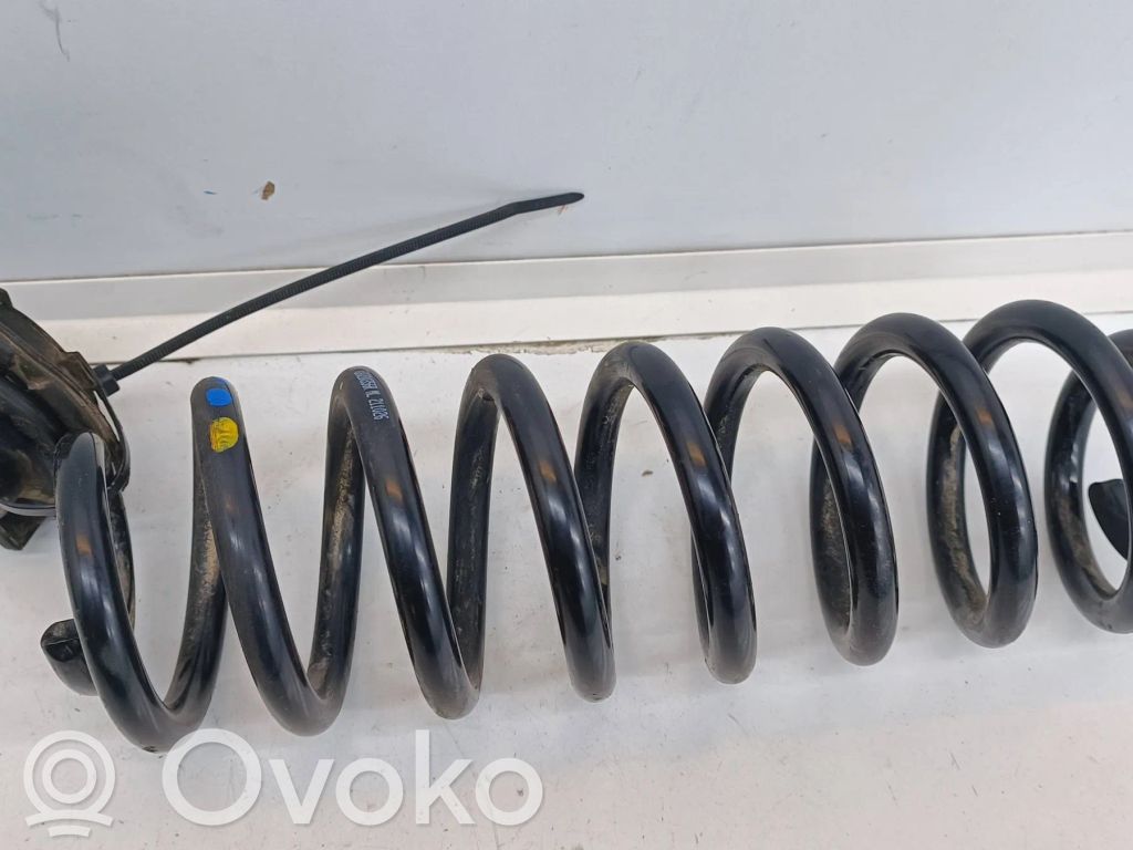 Dacia Spring Rear coil spring 