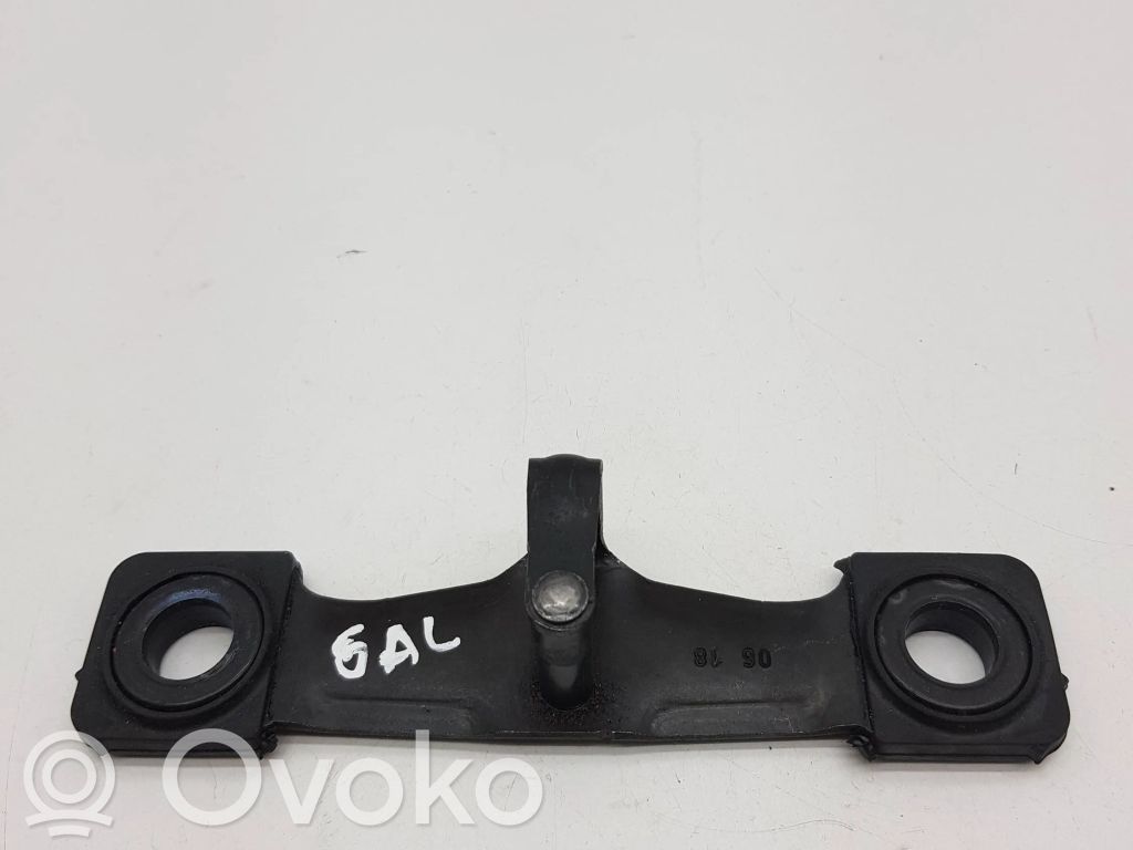Volkswagen Tiguan Galinio dangčio spynos kilpa 