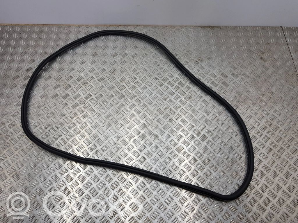 Volkswagen Tiguan Rubber seal rear door 