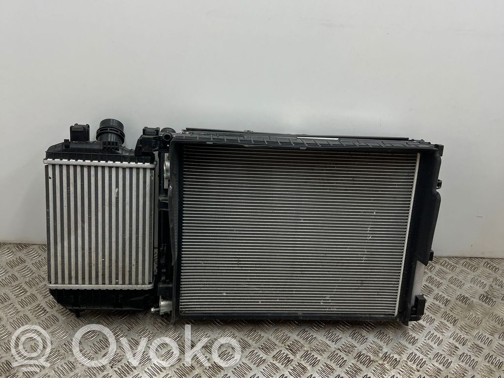 Renault Arkana Radiatorių komplektas 