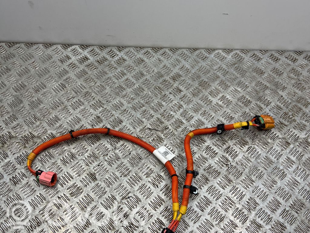 Dacia Spring Other wiring loom 
