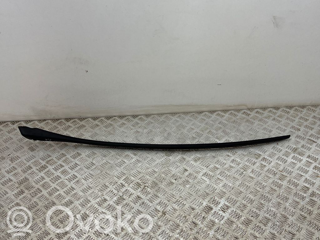 Moldura del parabrisas   3000022657