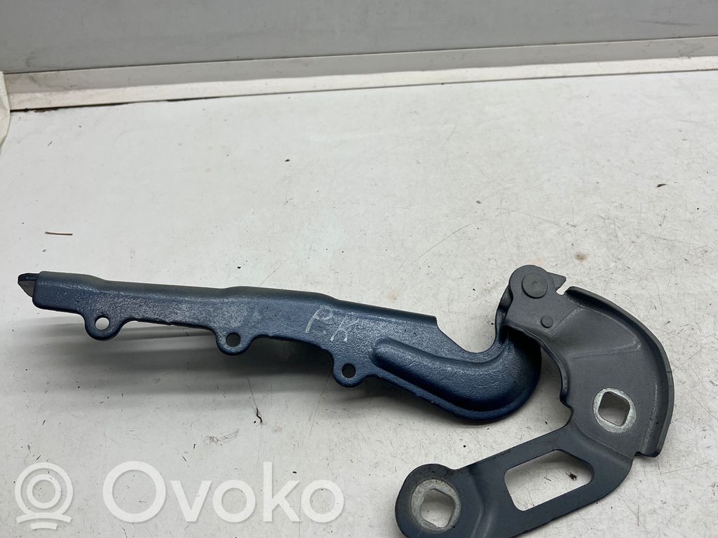 Ford Focus Dzinēja pārsega eņģe (-es) 