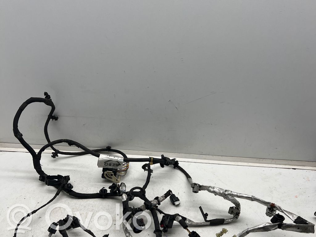 Ford Focus Otros cableados 