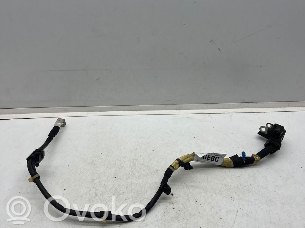 Ford Focus Otros cableados 