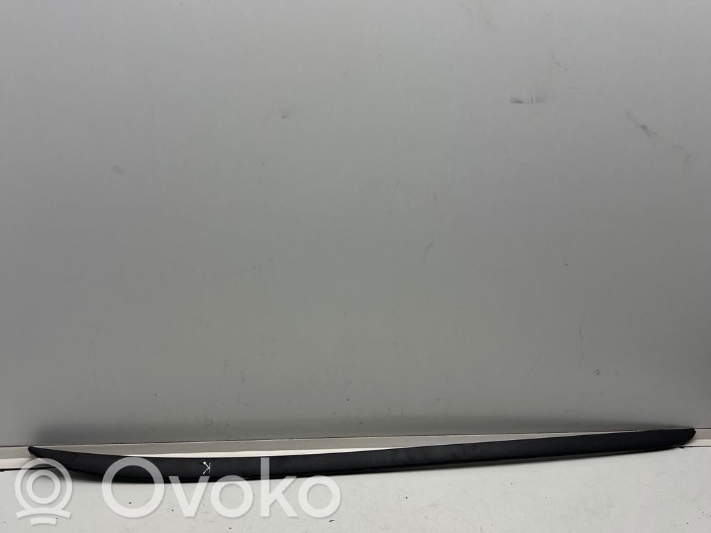 Ford Focus Windshield trim 