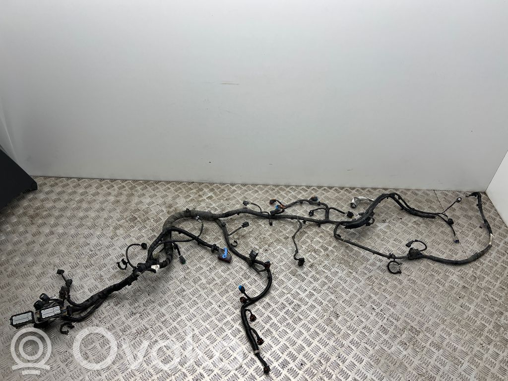 Ford Focus Engine installation wiring loom 