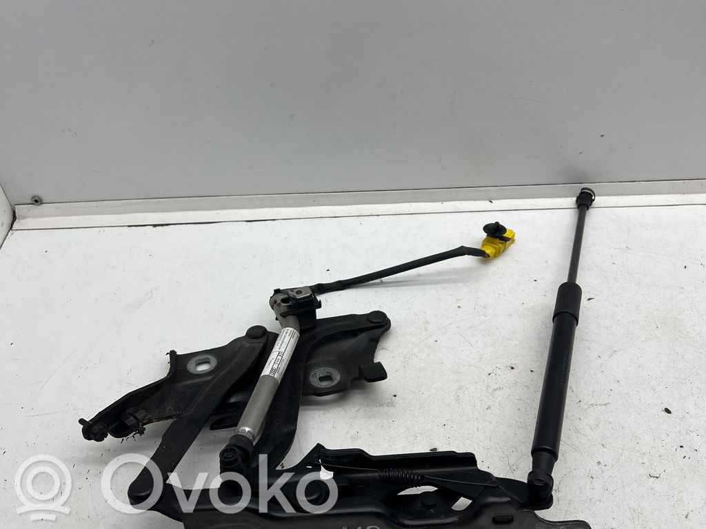 Audi A5 Zawiasy pokrywy / maski silnika 