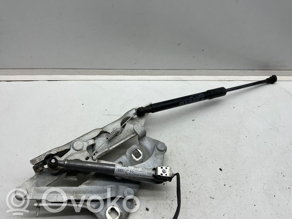Audi A4 S4 B9 8W Dzinēja pārsega eņģe (-es) 