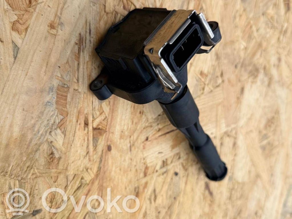 High voltage ignition coil   1703227,0221504004