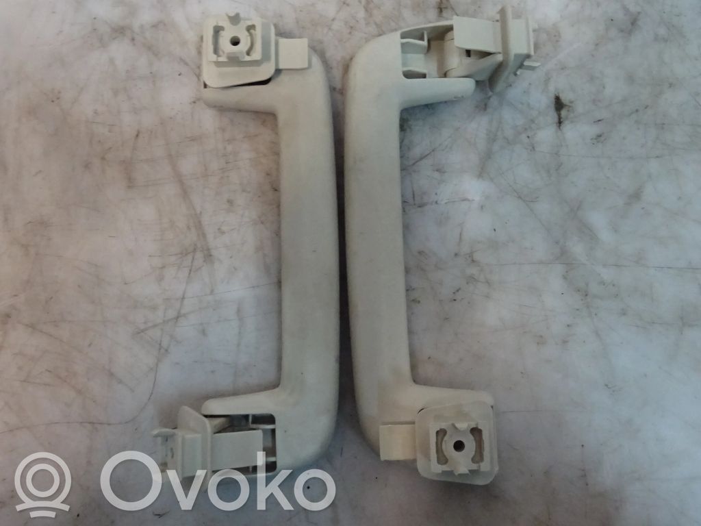 Asidero interior delantero