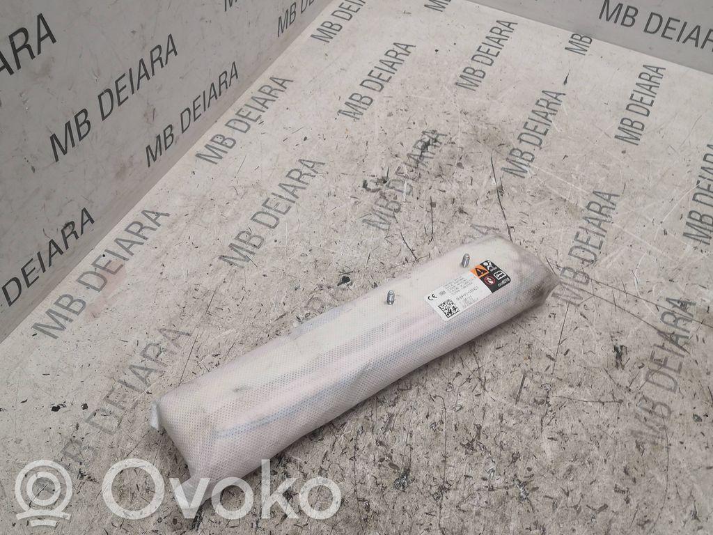 Sitz-Airbag   100525700C,4496021650