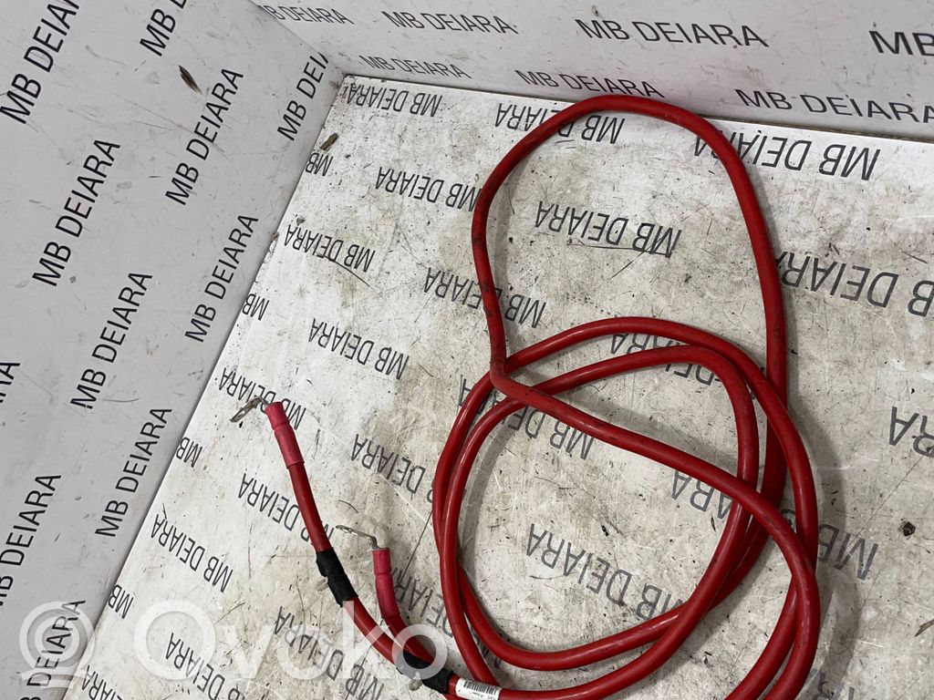 Pliusinis laidas (akumuliatoriaus)   65502900