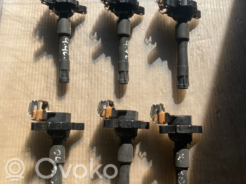 Aukštos įtampos ritė "babyna"   1748017,11860,0221504029,11860T,12131703227,12131703228,12131748017,12131748018,12137599219,12139067830,133804,1404309,1491600300,1703227,1703228,1703825,1748018,1970352,1970413,500960755,7599219,880045B,9067830,GCL307,NEC000020,NEC000040,NEC101000,NEC101000L,NEC101010,ZS302
