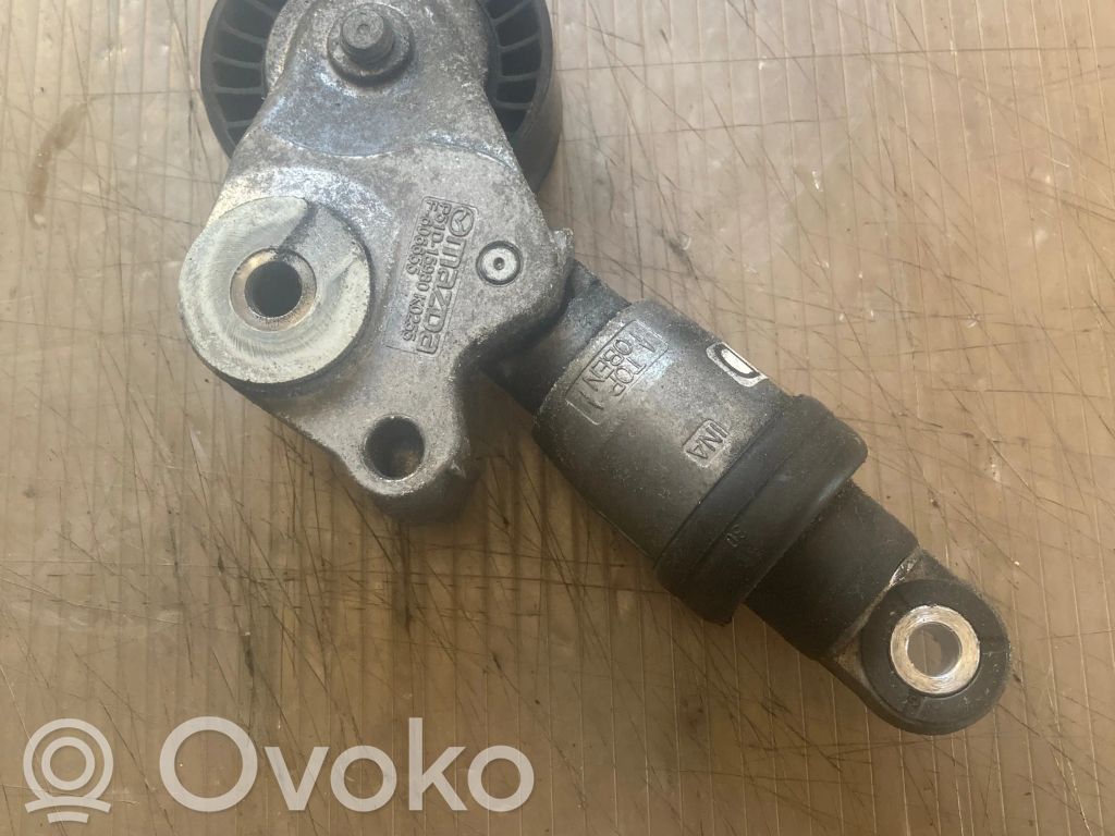 Diržo įtempėjas   F6066550100,F606655,P51D15980