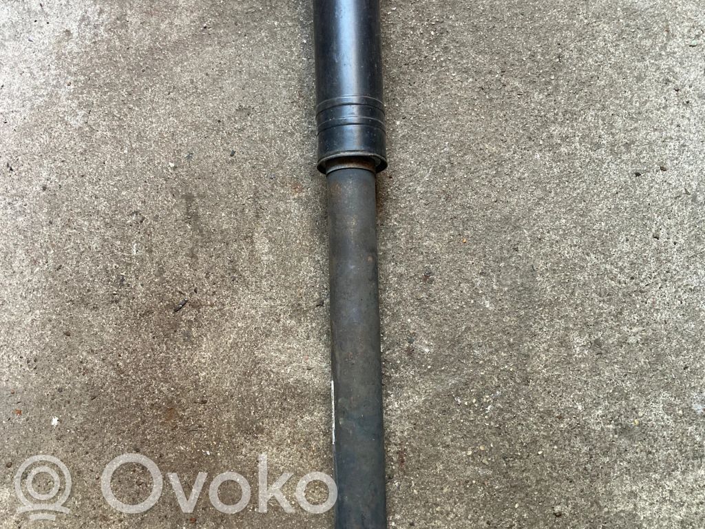 Chevrolet Orlando Rear shock absorber/damper 