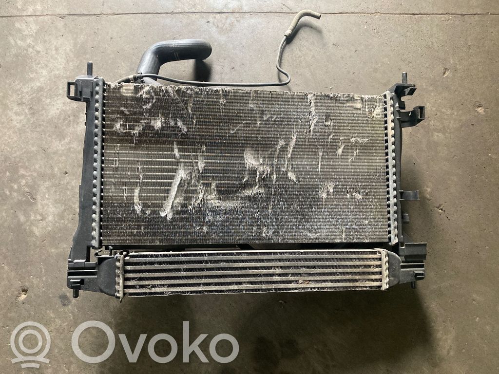Citroen Nemo Radiatorių komplektas 