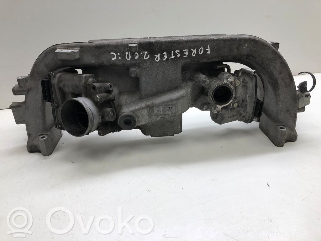 Imusarja   ZLDYLB4E,315516EB10