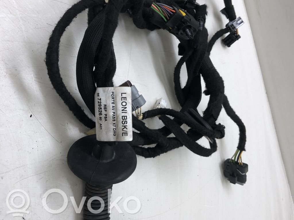 Citroen C5 Cableado de puerta delantera 