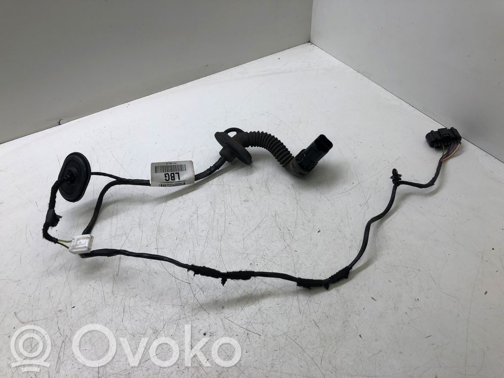 Ford Focus Cableado de puerta trasera 