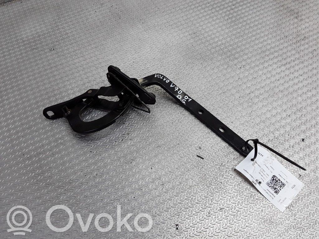 Tailgate/trunk/boot hinge