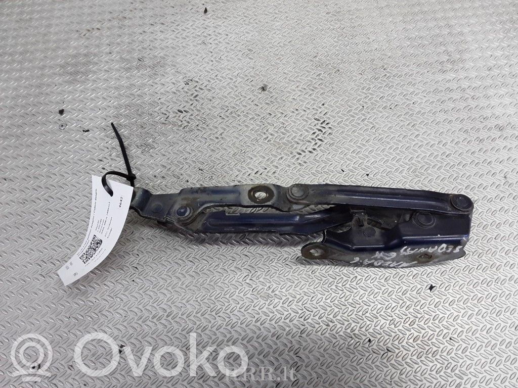Tailgate/trunk/boot hinge