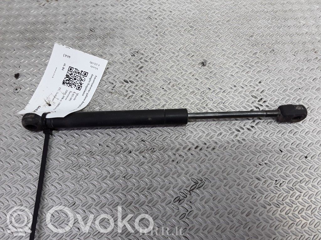 Amortizatorius galinio dangčio