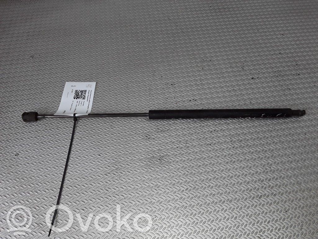 Tailgate/trunk strut/damper