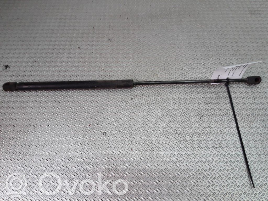Tailgate/trunk strut/damper   1S71A406A10BB