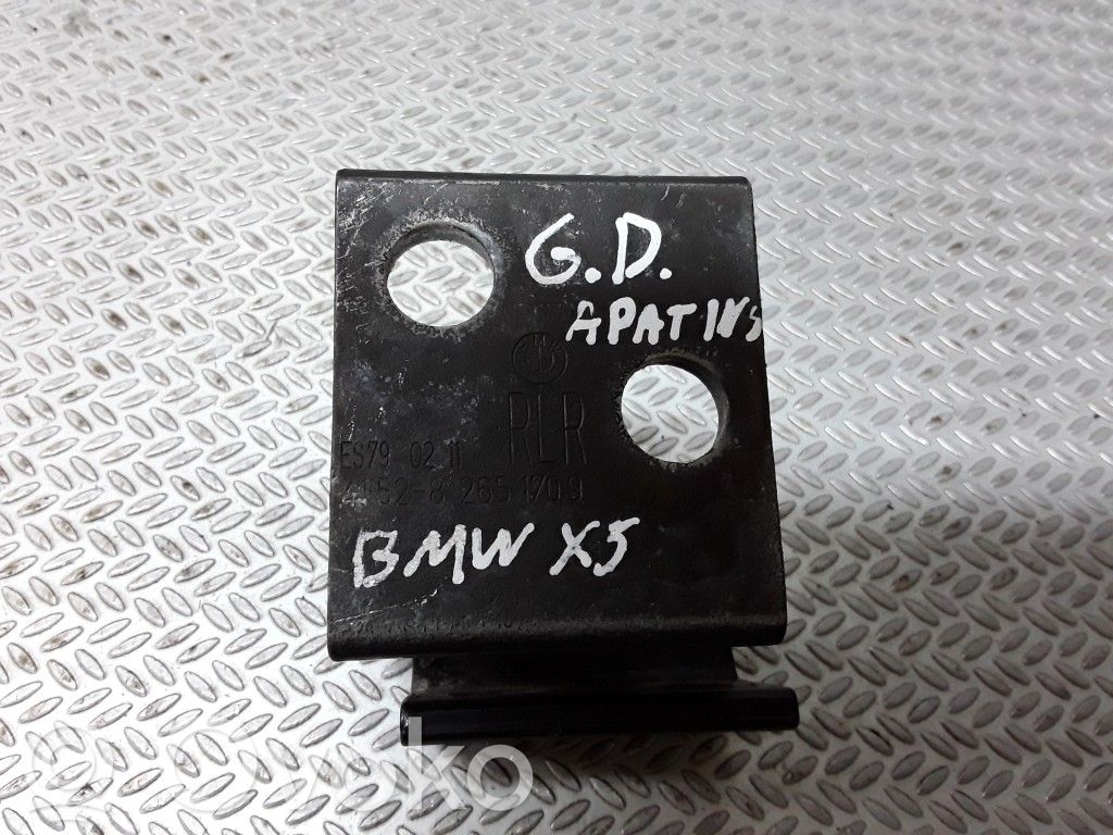 BMW X5 E53 Rear door lower hinge 
