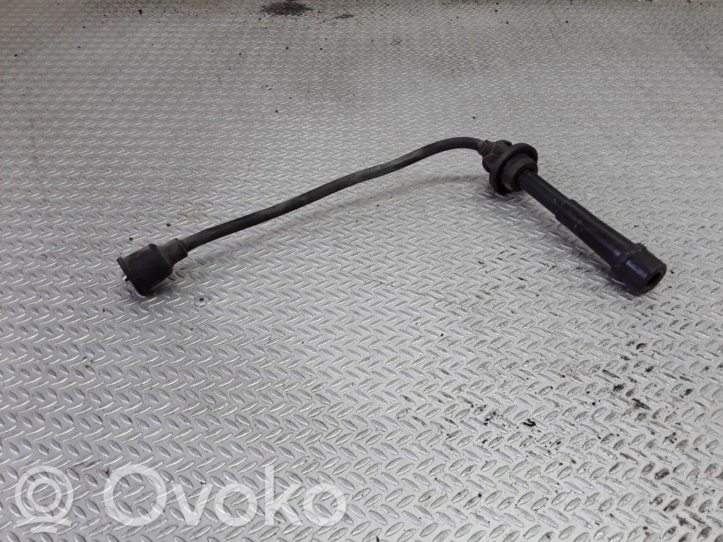 Ignition plug leads