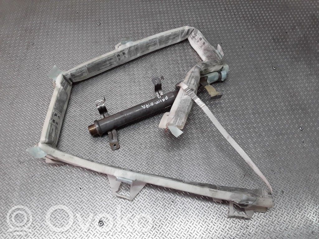 Airbag del techo   600382101