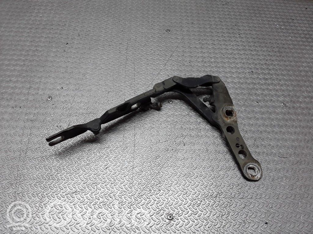 Scharnier Motorhaube   41618200123