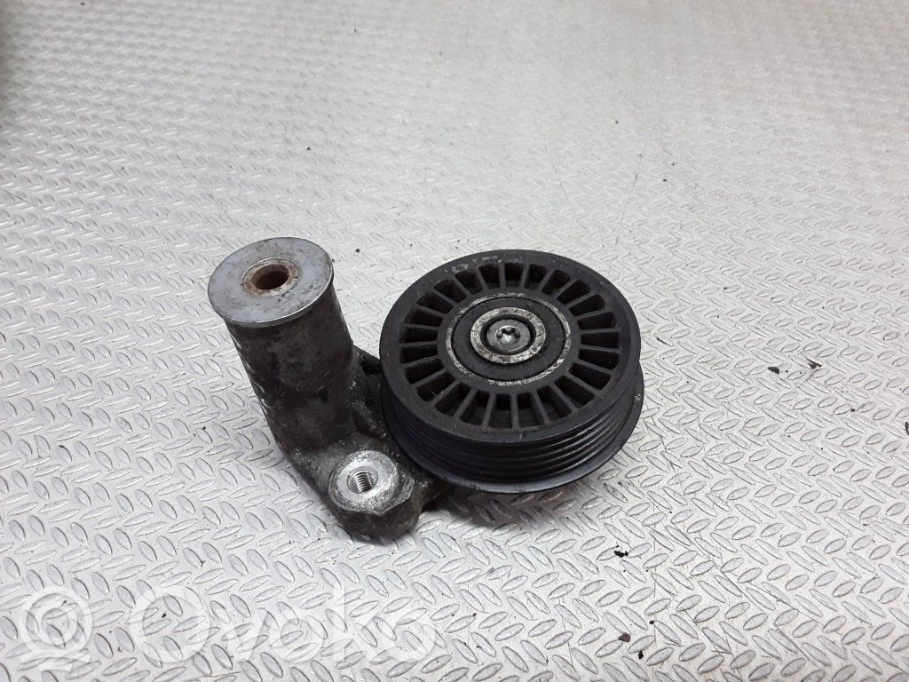 Volkswagen PASSAT B5 Napinacz paska alternatora 