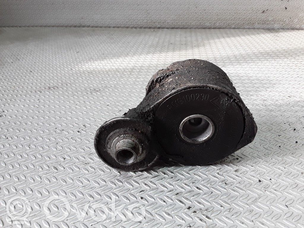 Tensor de correa del alternador   PQG100230