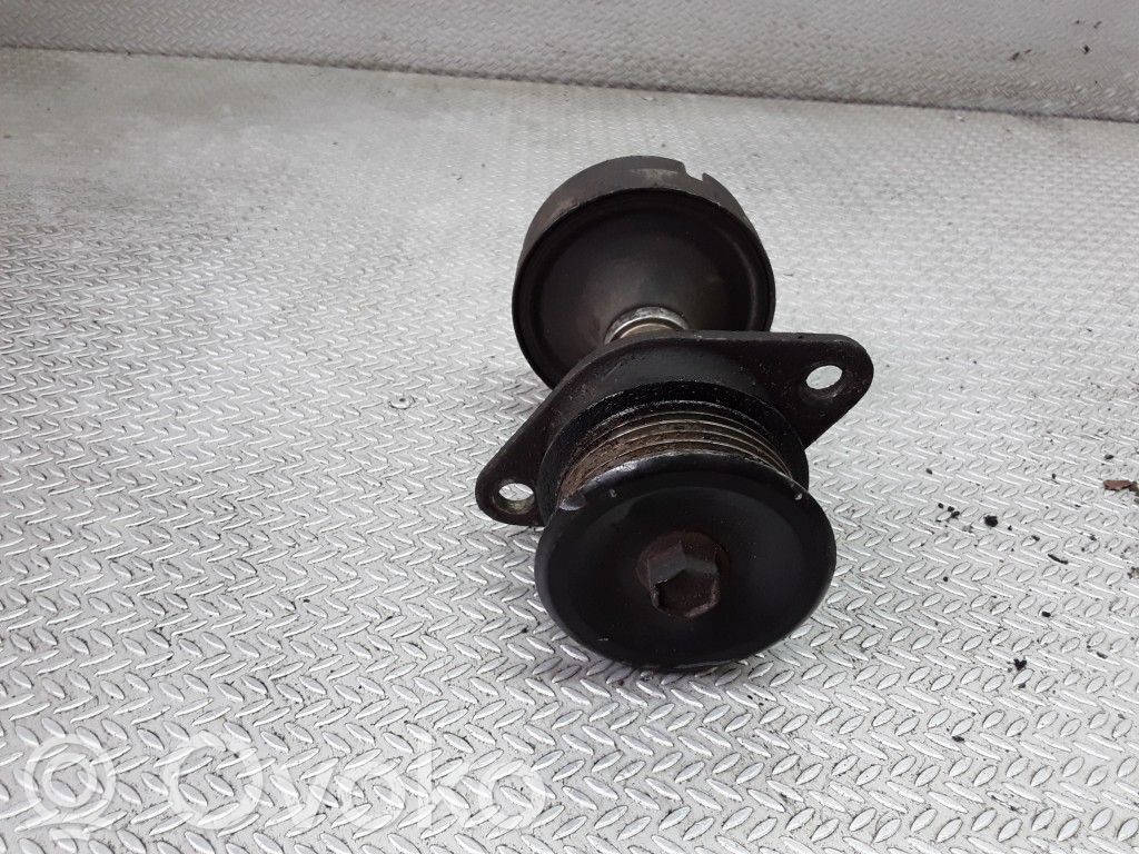 Ford Focus Ģeneratora skriemelis 