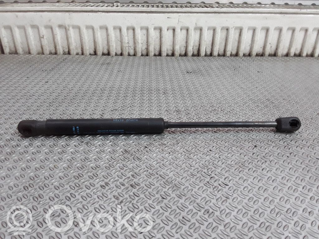 Tailgate/trunk strut/damper   9656592980
