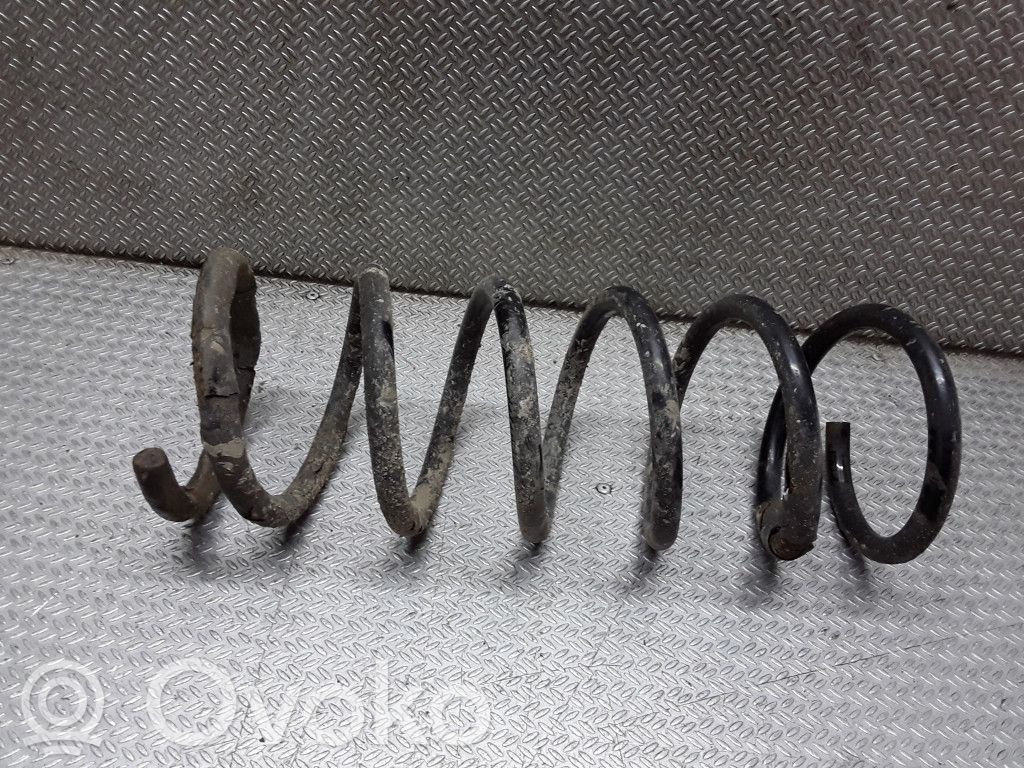 Rear coil spring
