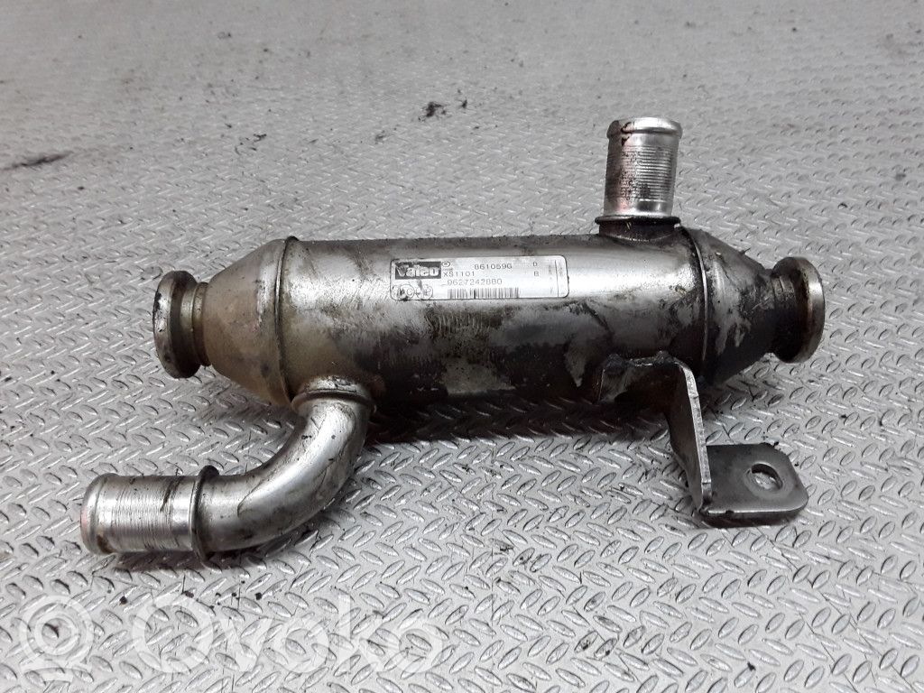 Peugeot 406 Răcitor supapă EGR 