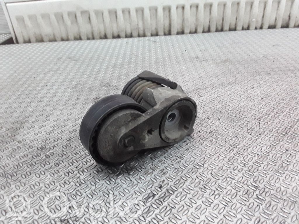 Napinacz paska alternatora   F23907102