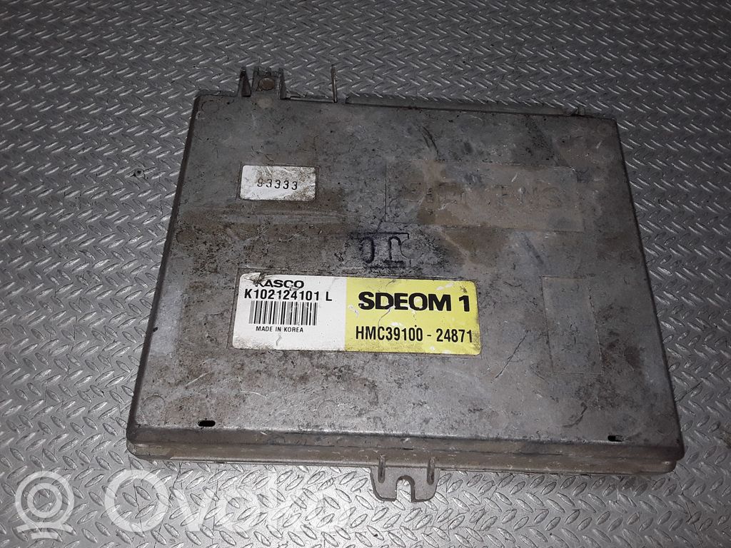 Hyundai Lantra I Engine control unit/module 